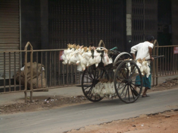 image-20120723213855.png