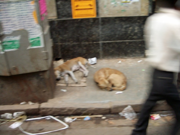 image-20120731171404.png