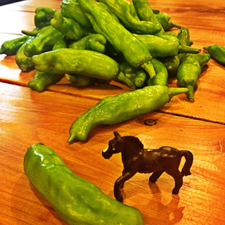 image-20120912174338.png